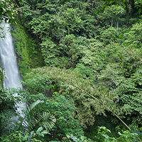 Photo de Bali - Autour de Munduk